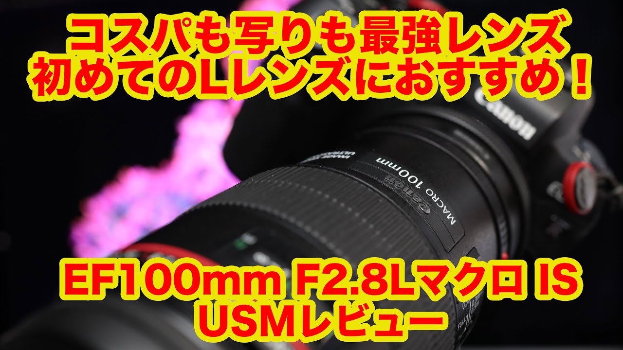 Canon カメラ レンズ】マクロレンズの使い方 撮り方 - YouTube