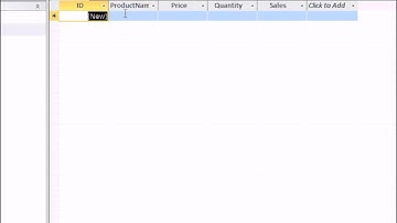 Access 2010: Using Calculated Fields