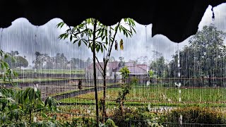 SLEEP BETTER WITH THE MOST PEACEFUL AND NATURAL SOUND OF RAIN FROM A ZIN ROOF. ASMR