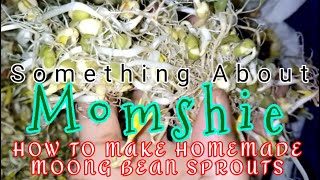 Homemade Toge Moong Bean Sprouts Blags Ni Budang