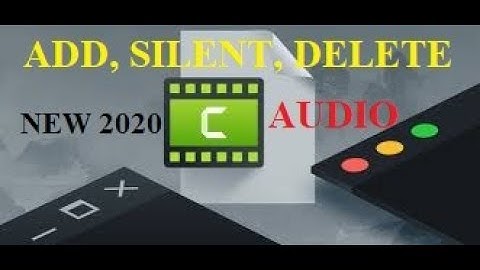 Add,Silent and Delete Audio on Camtasia Video