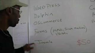 WordPress | Dolphin | Script Installation Service