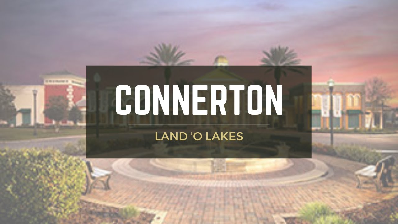 Connerton Land 'O Lakes Neighborhood Overview YouTube