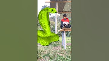 Anaconda snake in real life P46#shorts #short #snake #nagin #python #anaconda #snakes #bigsnake