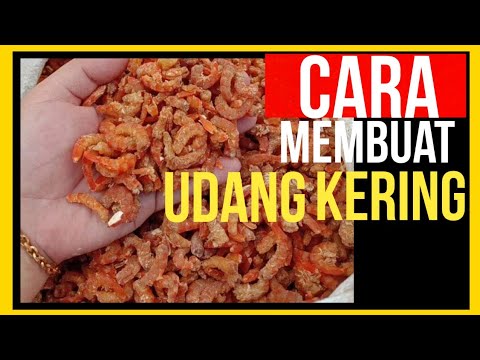 Cara memproses Udang Kering Mudah || Cara Mengolah udang kering