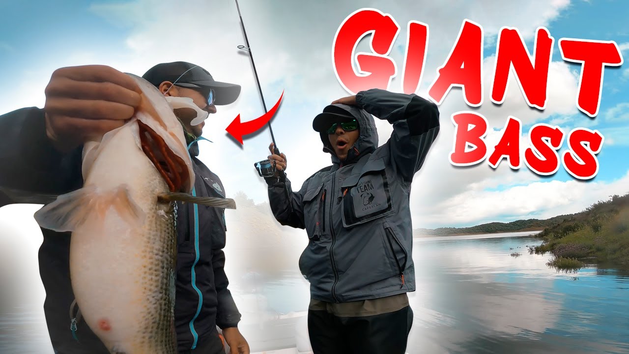 ¡PESCA su BASS RECORD! La ORILLA esta LLENA de PECES | Día 4