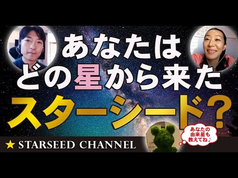 チャンネル スター シード