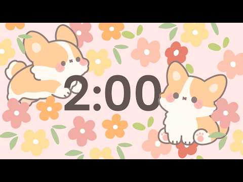 🌸🧡 cute corgi 2 minute countdown timer 🧡🌸 calm ambient music for classrooms and studying