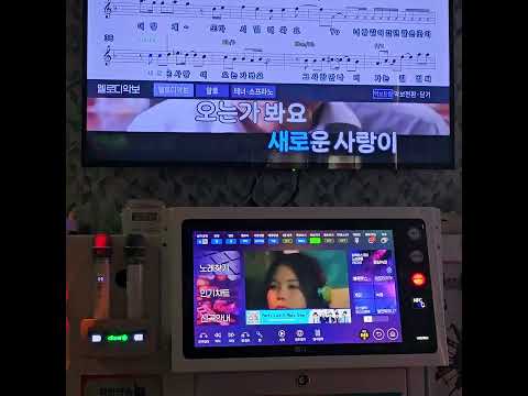 쿨 - 벌써 이렇게
