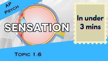 Sensation Explained in Under 3 mins (AP Psychology Unit 1 Topic 6) 1.6
