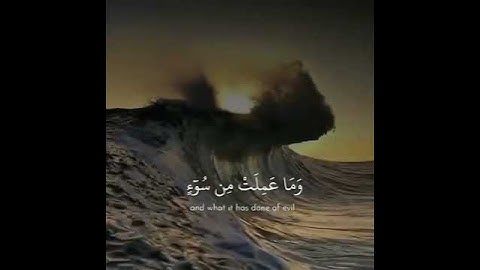 {يوم تجد كل نفس ما عملت من خير محضرا} بصوت القارئ: إسلام صبحي