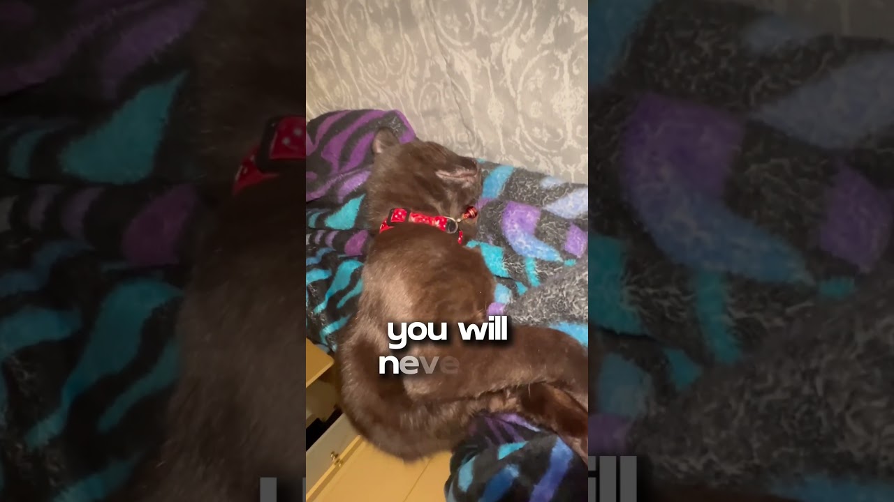 You will never be as tired as her