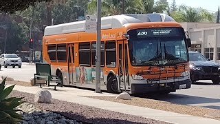 Full Ride LA Metro Line 236 Encino "Balboa & Moorpark" to Sylmar / San Fernando (North & Eastbound)