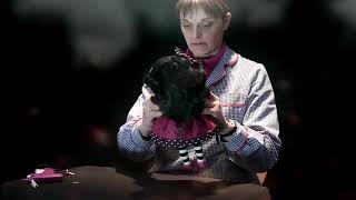 Santoro London Gorjuss Dolls By Paolo Reina Santoro London Gorjuss