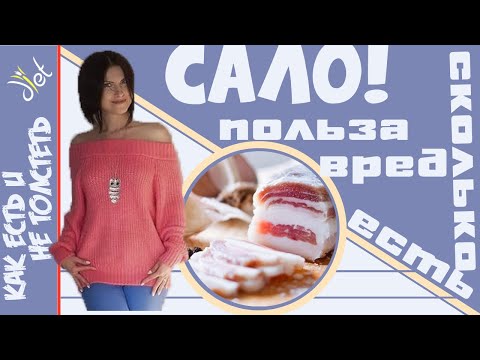 Сало: польза, полезные свойства и что в нем вредного. Сколько можно есть?