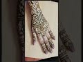 Aesthetic mehndi design 💕 #fashionshorts #aesthetic #hennadesigns #shortsvideo #creativehenna