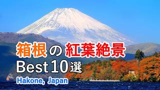 【富士山と紅葉も見所！】箱根の紅葉絶景ベスト10選！ / Top 10 Spectacular Autumn Leaves Spots in Hakone Japan [4K]