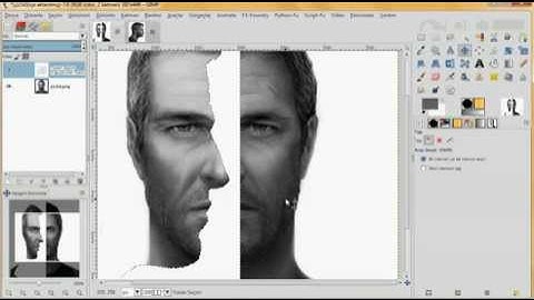 Gimp 2.8 face illusion