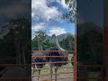 Ostrich looks so cute😍 #youtube #travel #mountainswiev #viralvideo #video #trending #trendingshorts