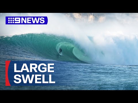 Three dead as large swell batters NSW coast | 9 News Australia