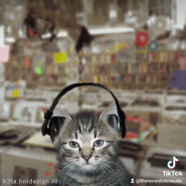 Brooklyn blood pop in reverse