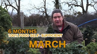 6 Months Living 100% Food Self-Sufficient |  Episode 12