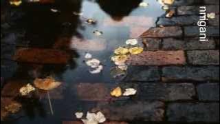 Heidi Elva - The heart is a lonely hunter