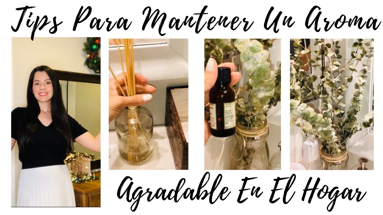 7 TIPS PARA MANTENER UN AROMA SIEMPRE AGRADABLE EN EL HOGAR CASA AROMATIZADA  || CATHY TIPS