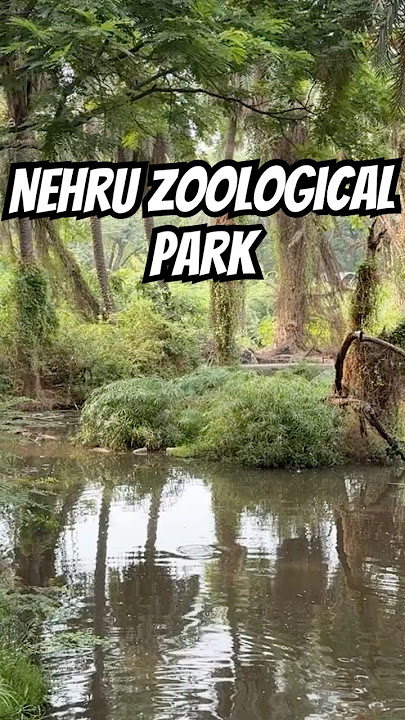 Nehru zoological park hyderabad #nehruzoologicalpark #hyderabad #hitechcity #trending #children