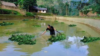 Draining The Pond  soak the LEAF to disinfect, treat fungus and other fish diseases