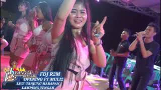 SYILA MUSIK TERBARU//OPPENING ALL ARTIS TANJUNG HARAPAN 2022