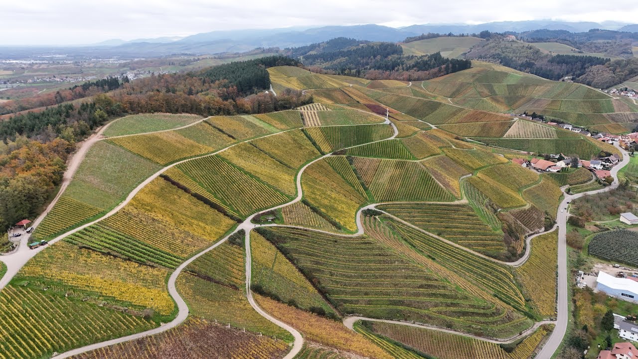 Dji Mini 4 Pro: 4K short video: Durbach, Black Forrest, Germany