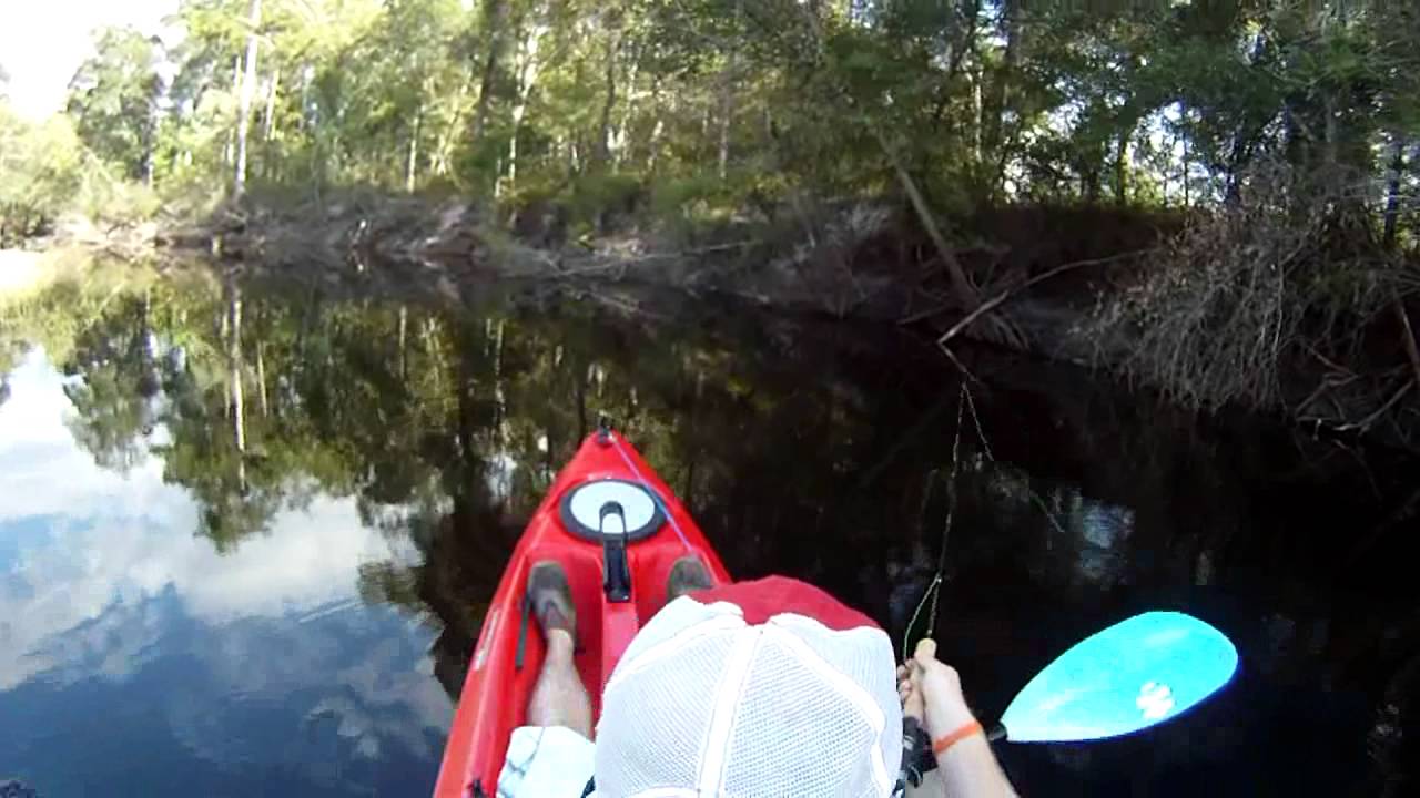 kayak fishing on the alapaha river YouTube