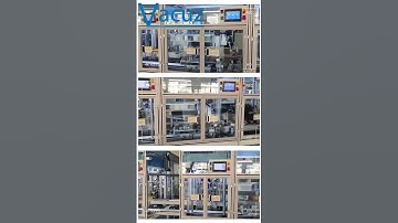 BLDC Treadmill Motor Automatic Brushless Outer Stator Coil Fly Fork Winding Machine Production Line