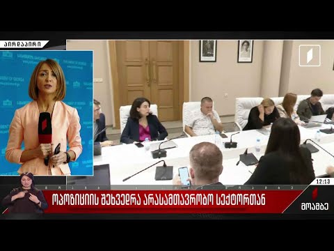 ოპოზიციის შეხვედრა არასამთავრობო სექტორთან