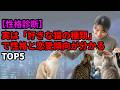 【性格診断】実は「好きな猫の種類」で性格と恋愛傾向が分かるTOP5