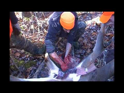 DYLAN OUTDOORS - Deer Hunting 2010