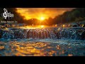 Relaxation au Fil de l'Eau : Musique Zen et Fontaines en Rivière