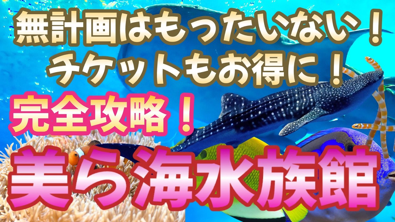 沖縄【美ら海水族館】割引チケット＆水族館の攻略法をご紹介‼️実際の水槽の様子もたっぷりごとご覧いただけます。オキちゃん劇場・マナティー館・ウミガメ館や、食事場所、お土産スポットなども確認できます。