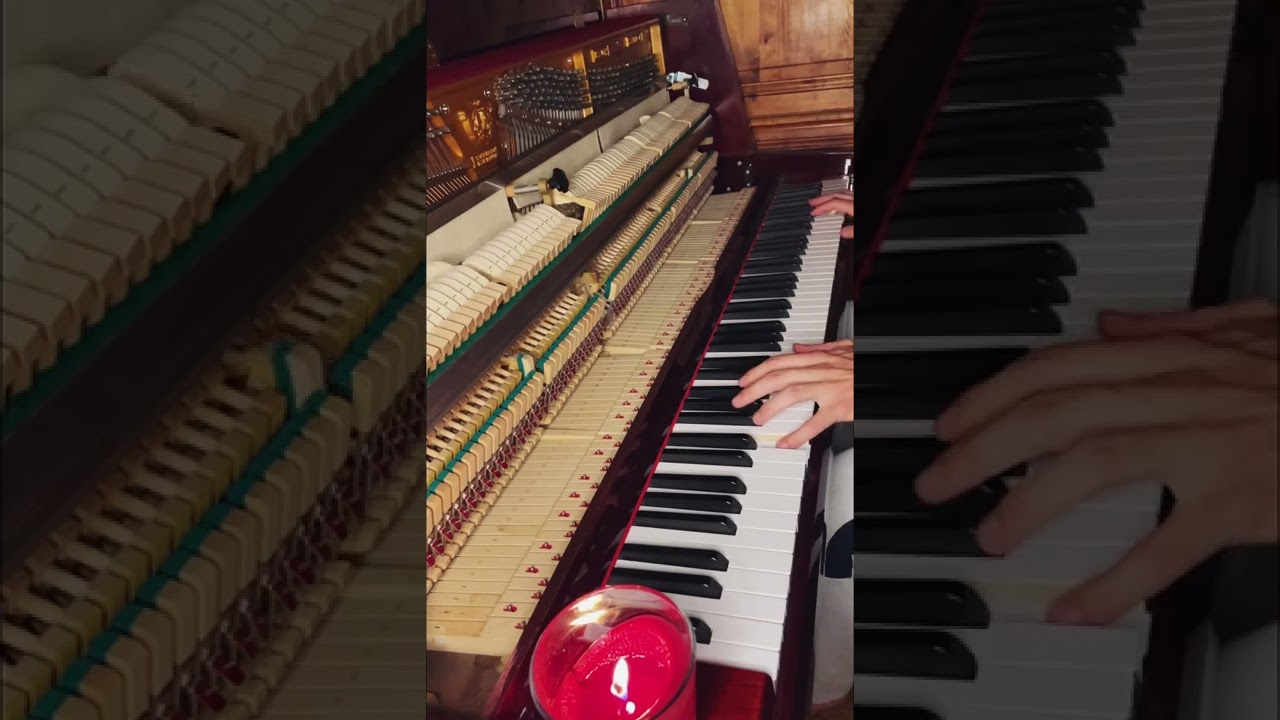 Passacaglia Handel / Halvorsen piano acoustic