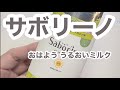 【日焼け止め検証】サボリーノおはよううるおいミルク