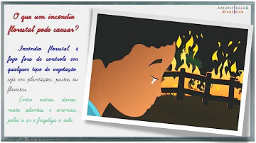 O que causa o incêndio florestal?