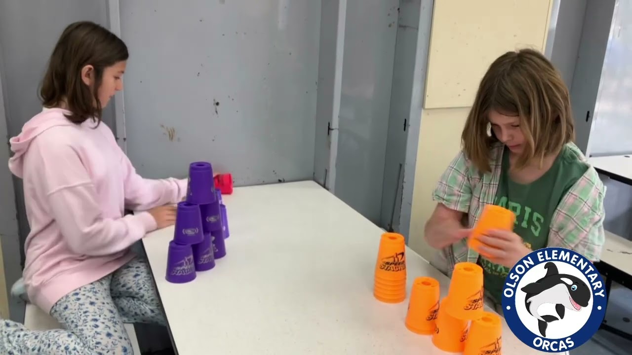 The Weekly Splash - 12/1/25