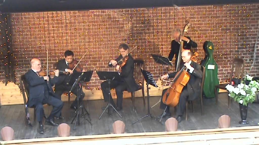 ELGAR  SERENADE for STRINGS. Op. 20  Allegro piacevole  BESA QUARTETT