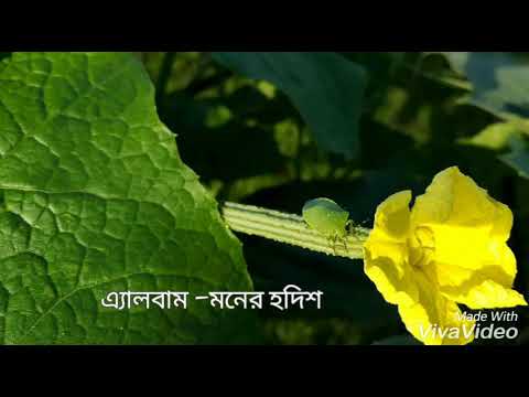 jevabei tumi sokal dekho surjo kintu ektai mp3