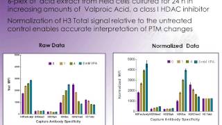 [WEBINAR] Multiplex Profiling of Epigenetic Modifications