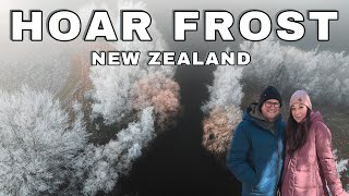 LANDSCAPE PHOTOGRAPHY - Hoar Frost New Zealand 2025