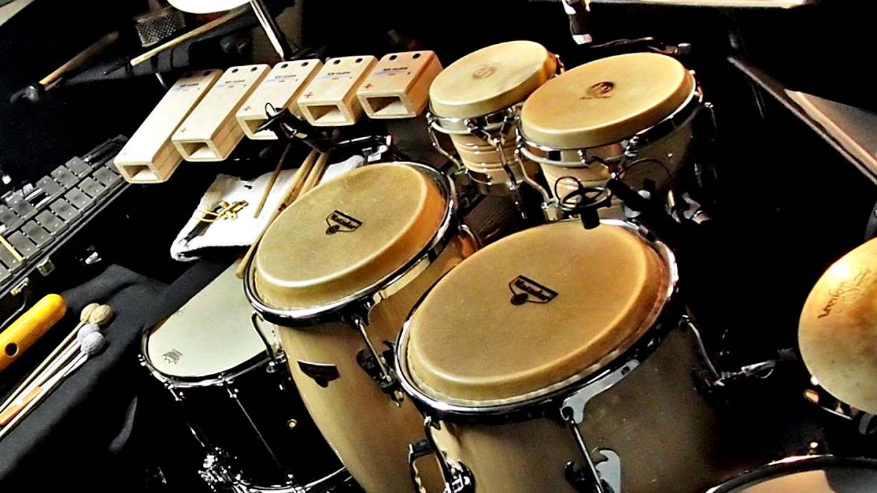 free latin music to download Free world music samples | download free loops packs.