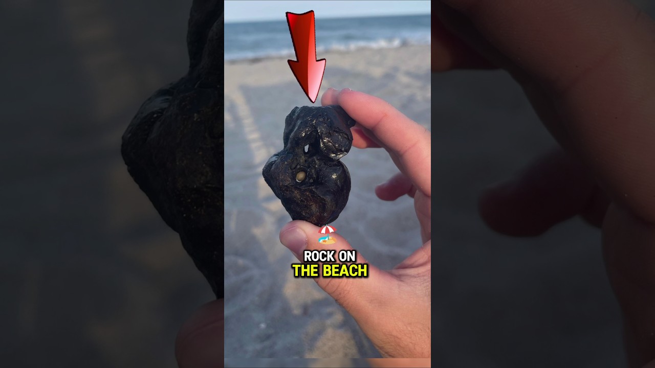 Boy Found Strange Rock On The Beach 
