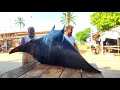 Interesting charming sri lankan traditional village street fish market